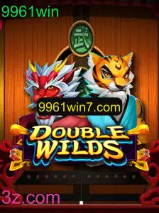 Explorando o Mundo do Jogo DoubleWilds: Um Guia Completo